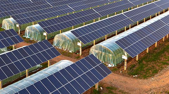 هيكل الطاقة الشمسية الزراعية